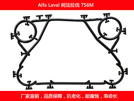 TS6M 國產(chǎn)板式換熱器密封墊片